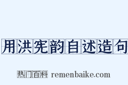 用洪宪韵自述造句是什么意思的图片